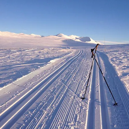 Putten Seter מלון *