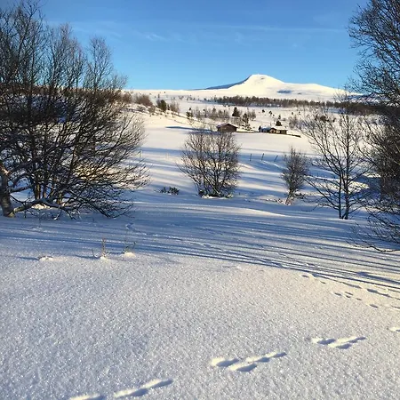 Putten Seter מלון