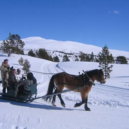 מלון Putten Seter *