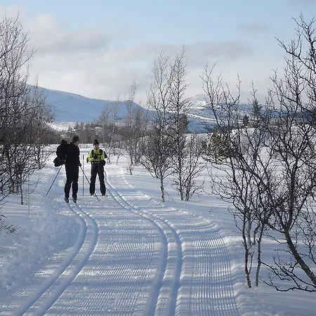 Putten Seter Høvringen