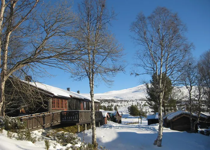 Putten Seter Hotel
