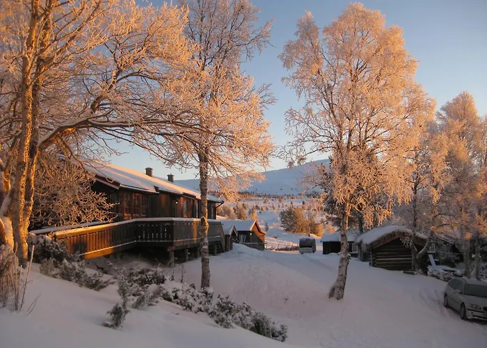 Putten Seter * Høvringen