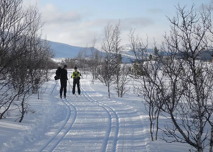 Putten Seter Høvringen