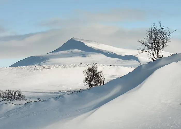 Putten Seter Høvringen